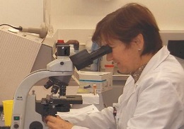 investigadora mirando microscopio